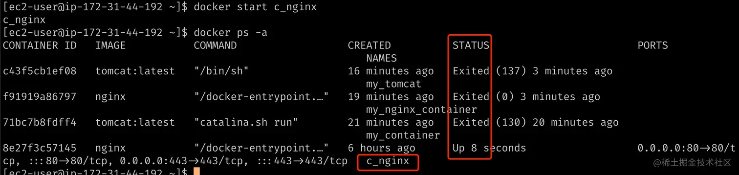 docker-start.png