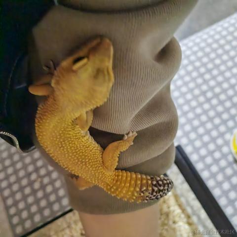 BK0717_王大明于2022-11-22 13:45发布的图片