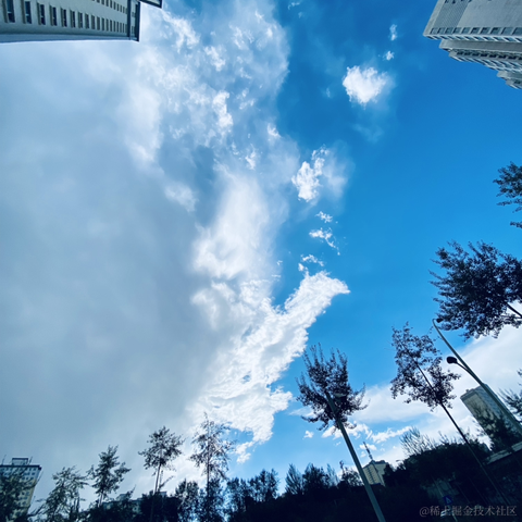 摄氏40度于2021-09-22 09:29发布的图片