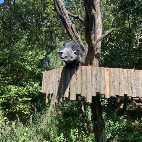 切图_仔于2022-10-05 21:46发布的图片