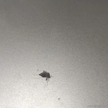 橘猫c于2022-07-13 17:19发布的图片