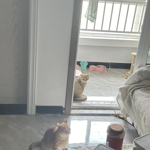 划水摸鱼一天又一天于2024-06-04 10:51发布的图片