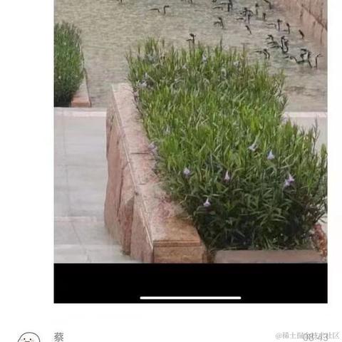 铸月于2023-09-08 11:27发布的图片