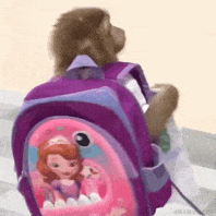 大大呱世界第一于2024-02-06 10:25发布的图片