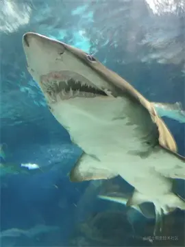 test6.jpg