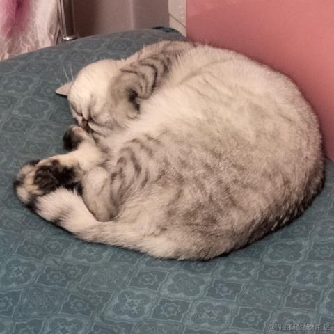 _3于2022-11-23 12:09发布的图片