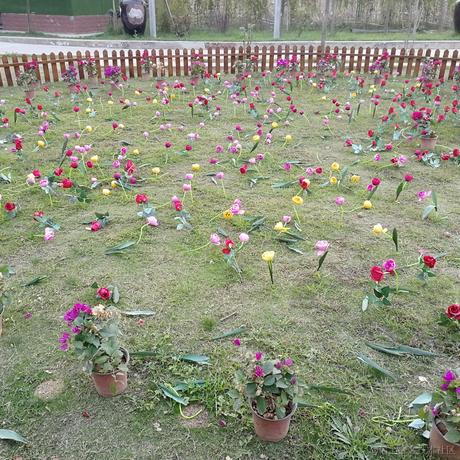 danceli于2021-05-18 08:56发布的图片