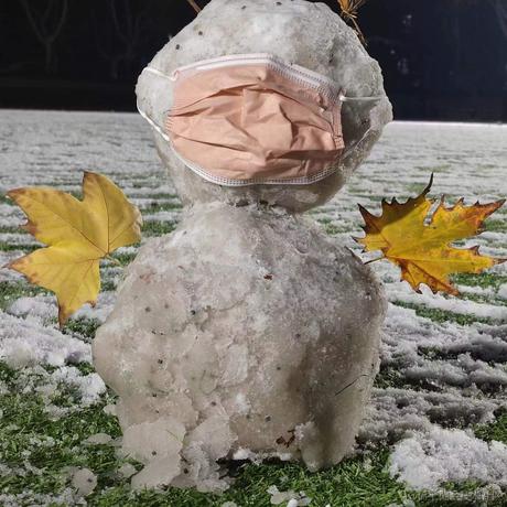 蓝冠青鸟于2022-12-01 16:43发布的图片