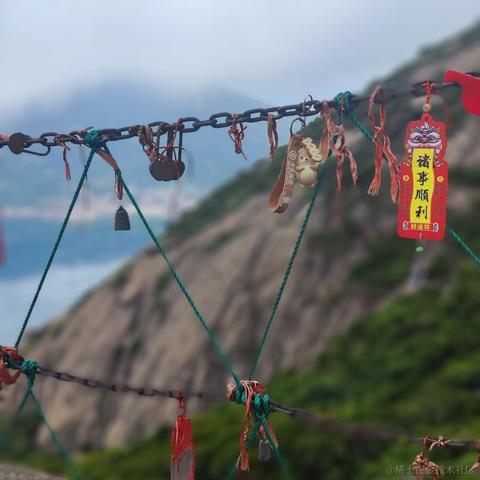 卷死你丫的于2024-05-20 09:00发布的图片
