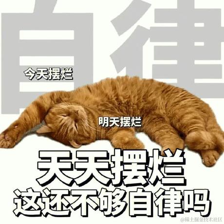 菜姐不吃菜于2023-01-17 09:38发布的图片