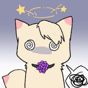 不明鲨鱼袭击于2022-11-27 12:30发布的图片