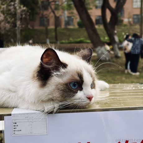 嘉碗大饭于2023-07-04 19:01发布的图片