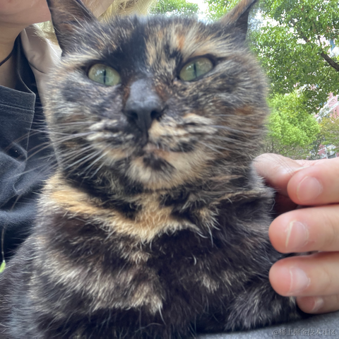 喵桑阿里嘎多版于2023-04-07 22:58发布的图片