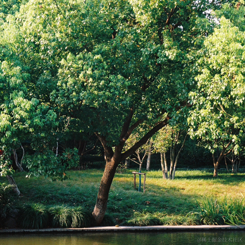 紫菜捏于2022-11-16 09:52发布的图片