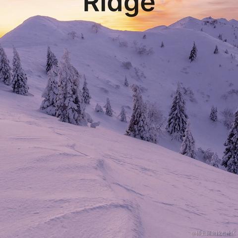 顶碗人1007于2024-04-23 00:04发布的图片