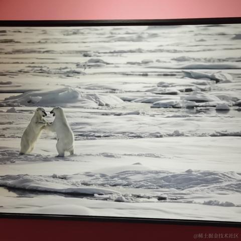 阿奎咯于2023-04-14 22:46发布的图片