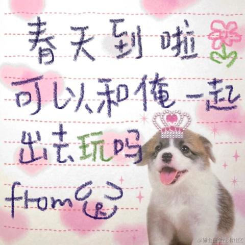 获得小狗青睐的骨头于2022-03-29 11:03发布的图片