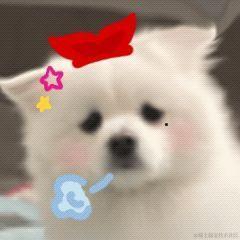 乃贝今天一起睡于2022-11-20 14:15发布的图片