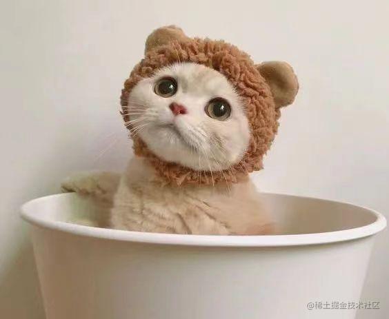 杂乱无章的人生