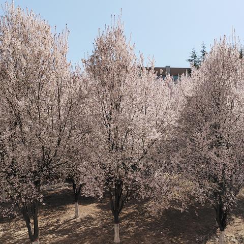 从0开始的go世界于2023-04-16 21:36发布的图片