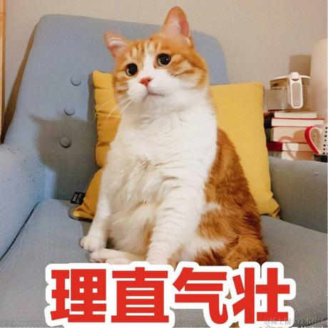 囧史密斯于2022-11-28 19:54发布的图片