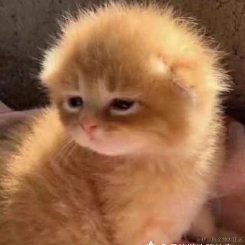 Having于2021-10-27 19:31发布的图片