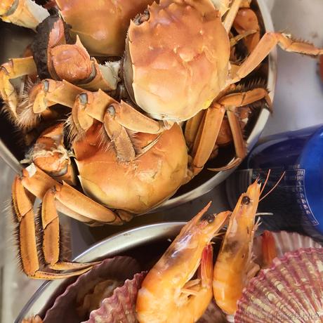 我们一个小碗于2022-12-09 18:57发布的图片