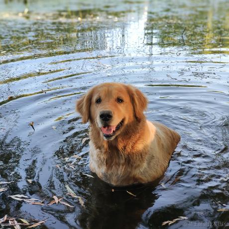沈麽鬼于2022-08-20 22:15发布的图片