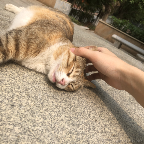 餘yuqn于2024-04-02 00:55发布的图片