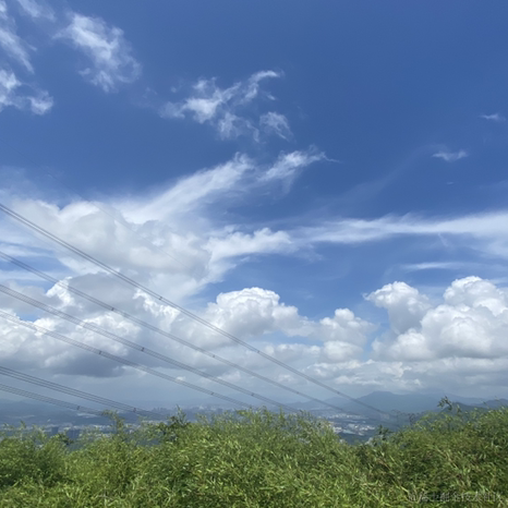 南城FE于2022-06-08 19:24发布的图片
