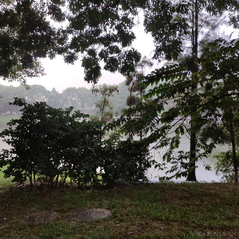 地狱拖拉机于2022-11-28 07:57发布的图片