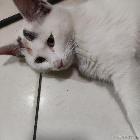 晚晚然然拉姐乃琳嘿嘿嘿于2022-11-24 11:51发布的图片