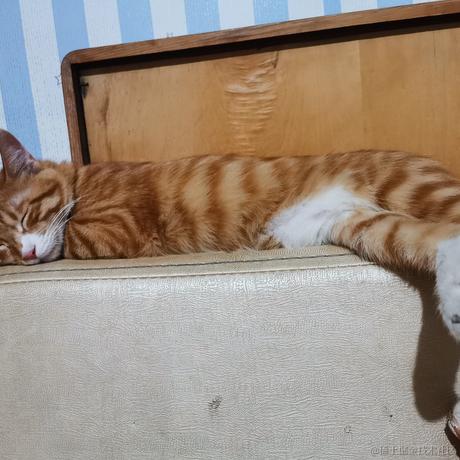 鲨脆脆脆于2023-06-08 09:30发布的图片