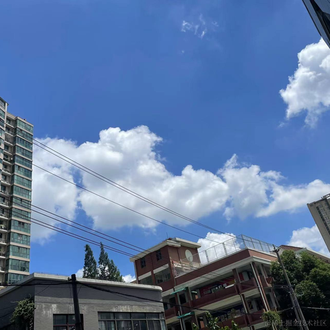 迷人的小布于2023-08-03 11:20发布的图片