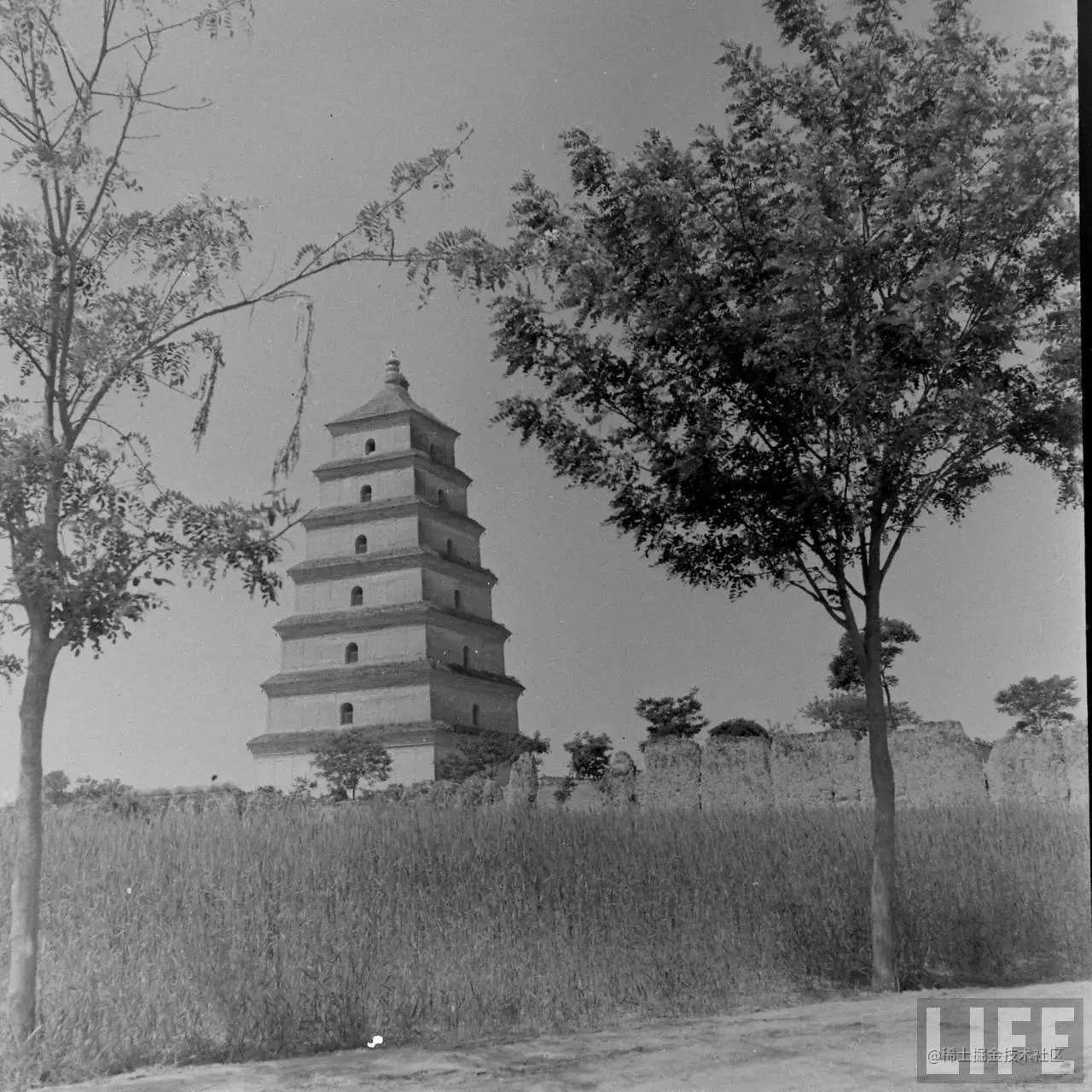 1947年，陕西西安。大雁塔。2.jpg