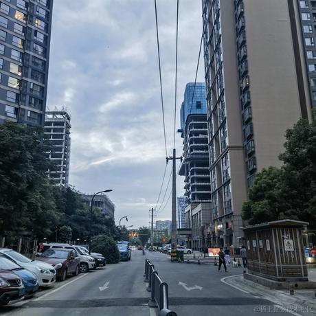 不思进取的菜菜于2023-06-05 20:07发布的图片