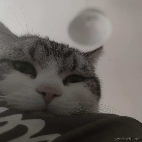 程序猿秃头之路于2021-12-14 12:39发布的图片