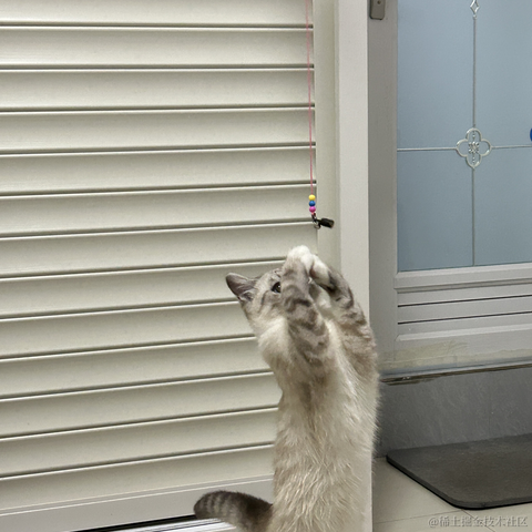 llight于2023-04-20 21:11发布的图片