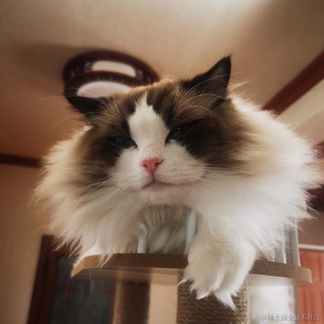 Firmament于2022-12-11 10:44发布的图片