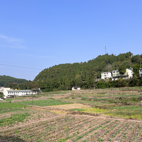 mql的爹于2022-11-21 22:03发布的图片