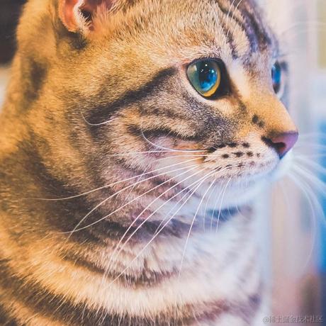 科研裁缝于2021-10-28 09:23发布的图片