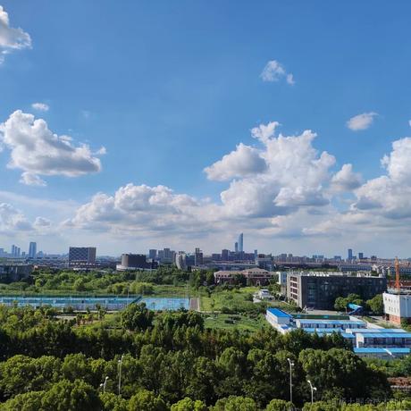 优秀稳妥的金枪小魔王于2022-07-29 16:01发布的图片