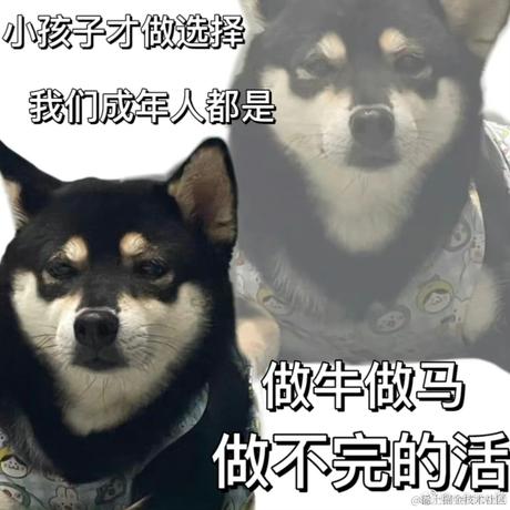 司夜于2022-11-26 17:25发布的图片