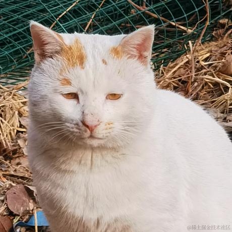 空城旧梦辞旧人于2022-11-21 15:05发布的图片