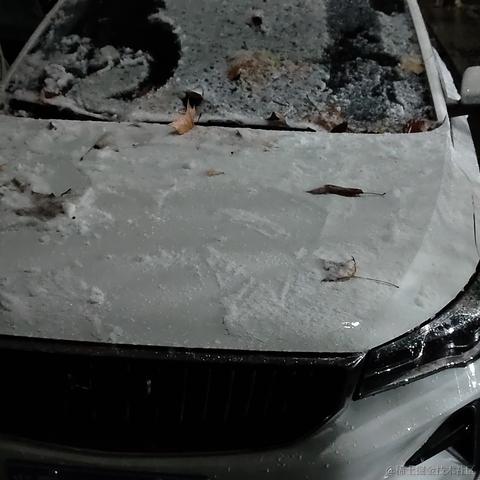 风信子离开向晚于2022-11-30 23:05发布的图片