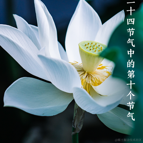 练腹肌的小蚊子于2023-06-21 20:46发布的图片