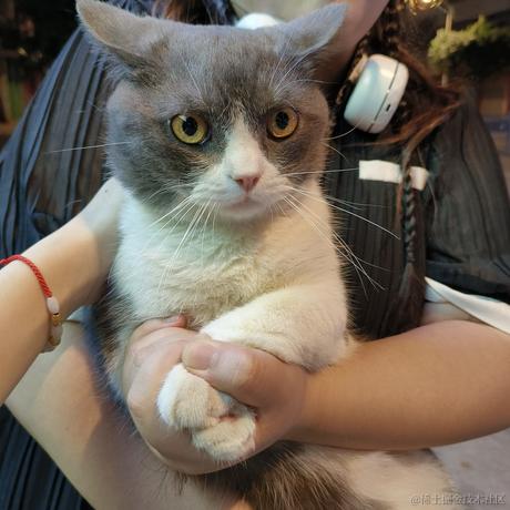 奶油面包拳于2022-11-22 10:15发布的图片