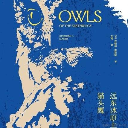 叶一一于2023-07-05 18:17发布的图片