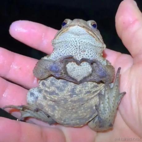 老老老鼠于2024-01-16 09:14发布的图片