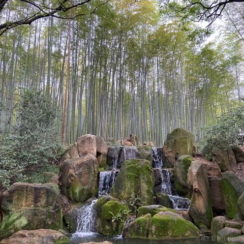 狗子君于2024-02-06 22:11发布的图片